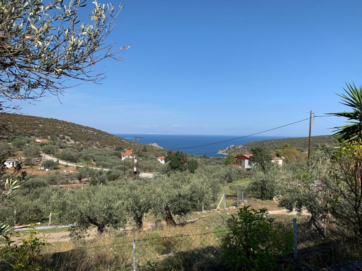 Вілла Olive Hill Private House Poros Town Екстер'єр фото
