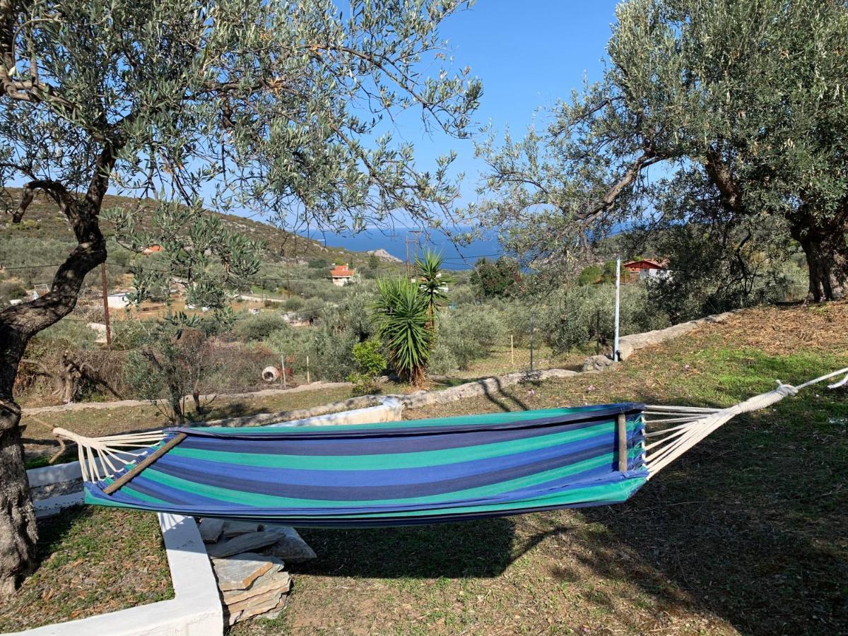 Вілла Olive Hill Private House Poros Town Екстер'єр фото