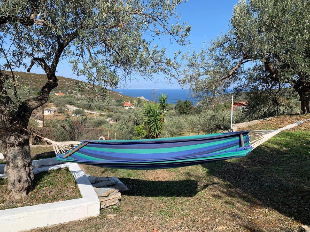 Вілла Olive Hill Private House Poros Town Екстер'єр фото