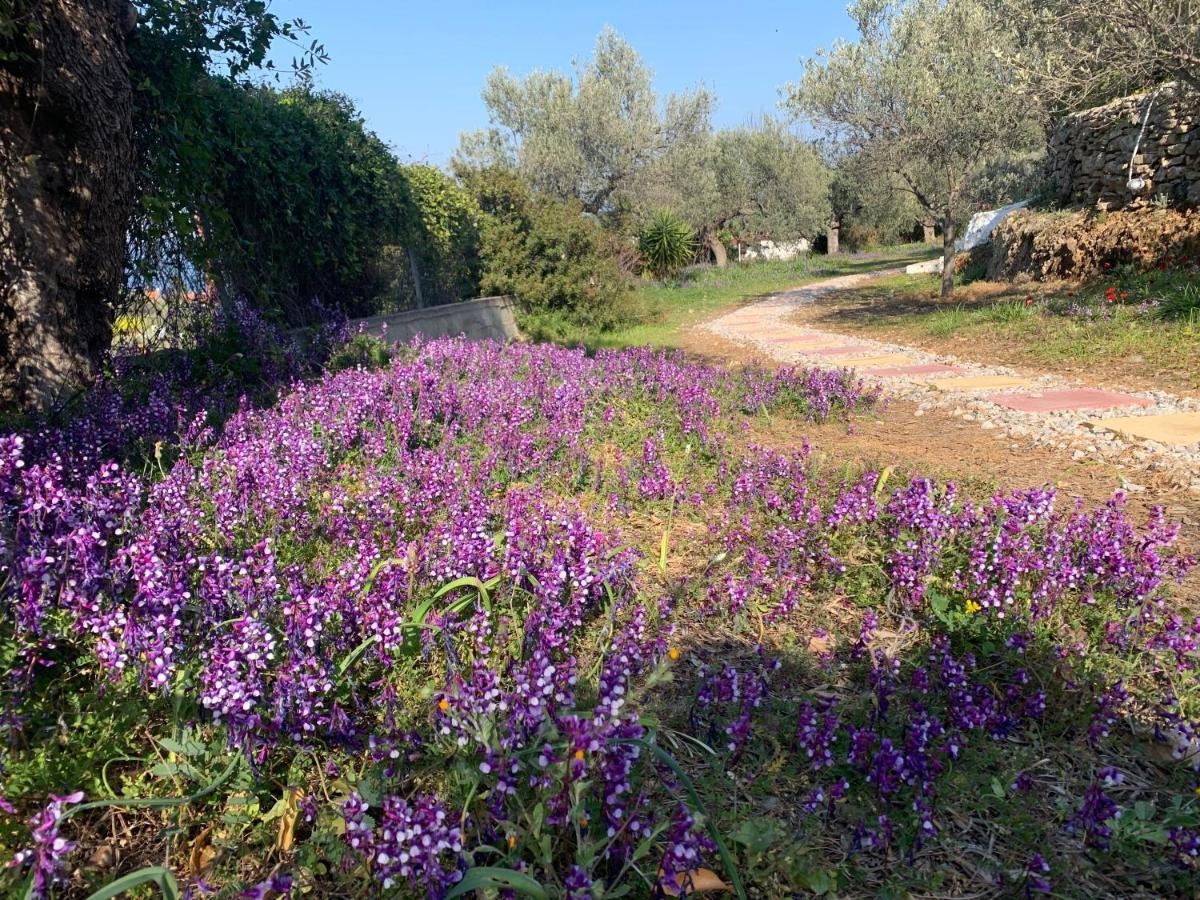 Вілла Olive Hill Private House Poros Town Екстер'єр фото