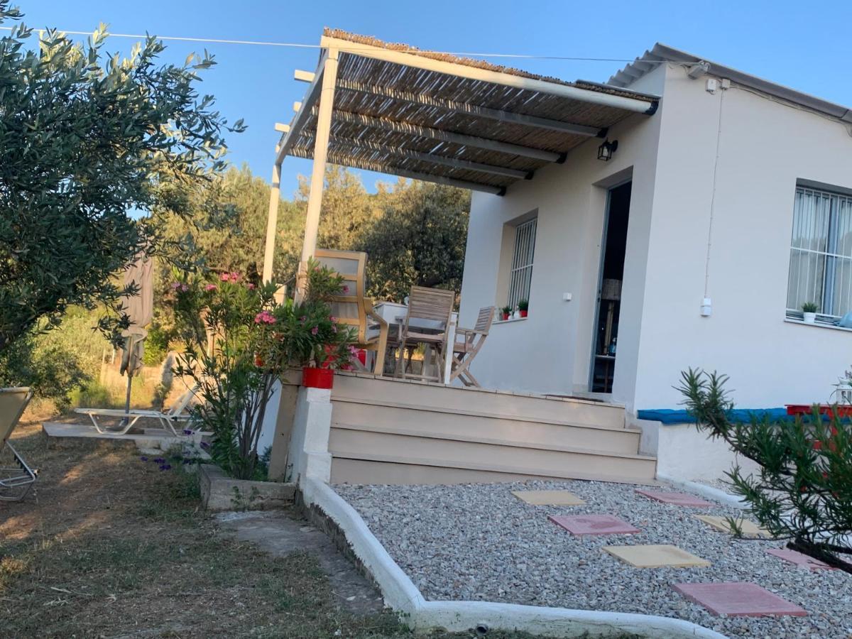 Вілла Olive Hill Private House Poros Town Екстер'єр фото