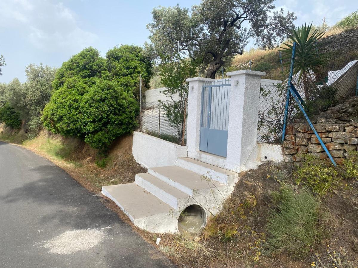 Вілла Olive Hill Private House Poros Town Екстер'єр фото